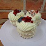 pavlova mini boruvka rybiz