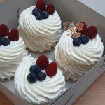 pavlova postup c